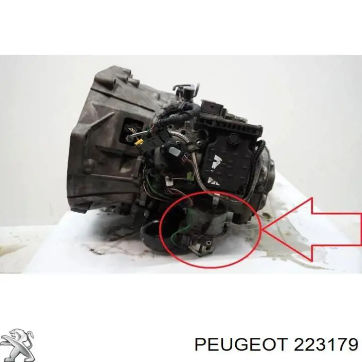 223179 Peugeot/Citroen mechaniczna skrzynia biegów w komplecie