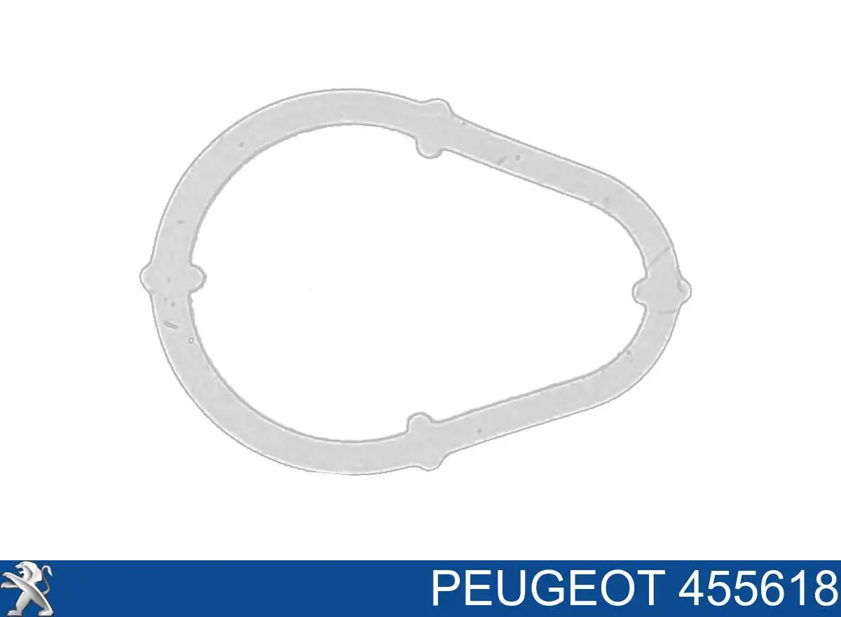 455618 Peugeot/Citroen uszczelka pompy próżniowej