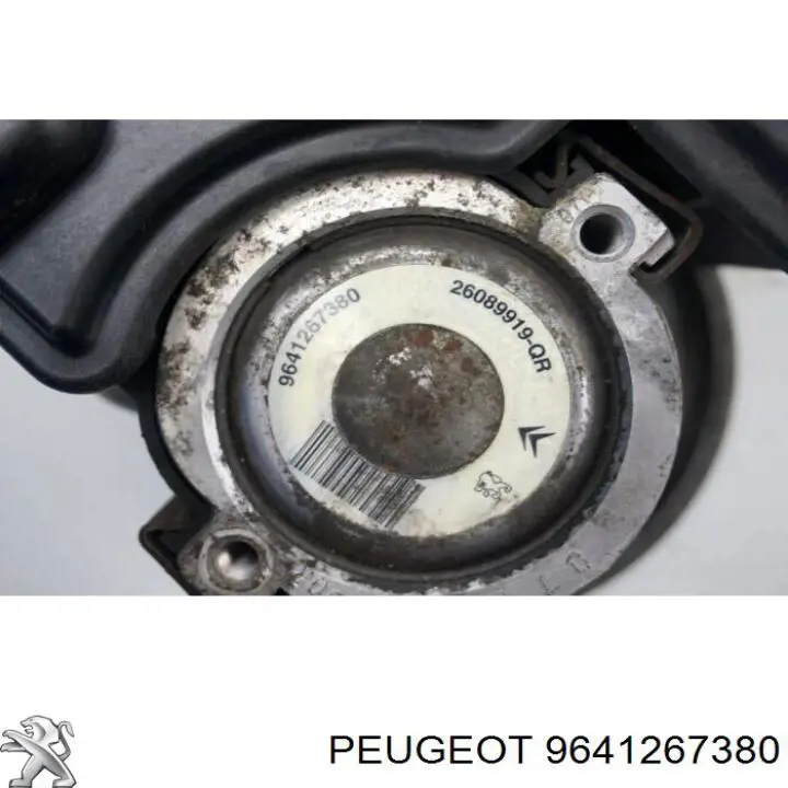 9641267380 Peugeot/Citroen pompa wspomagania hydraulicznego kierownicy