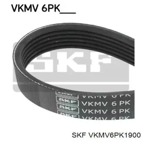 VKMV6PK1900 SKF pas napędowy mechanizmów