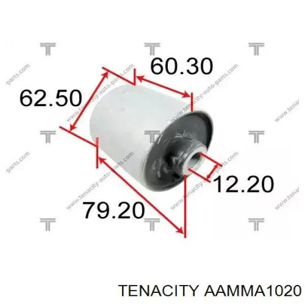 AAMMA1020 Tenacity silentblock przedniego wahacza dolnego