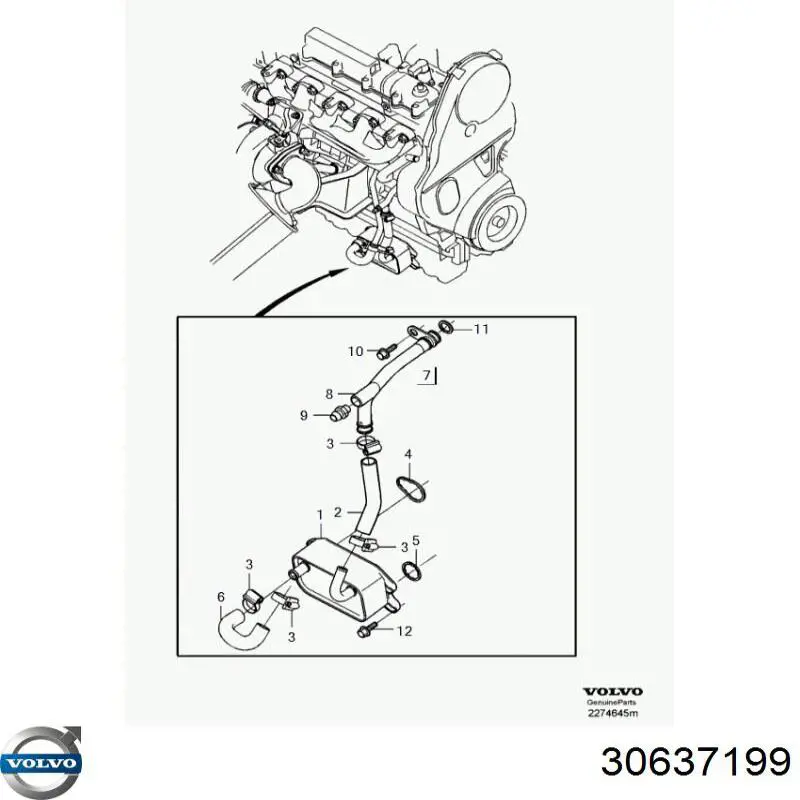 30637199 Volvo uszczelka chłodnicy oleju