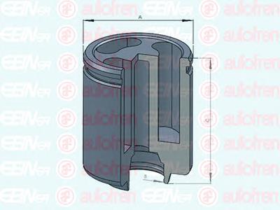 Поршень тормозного суппорта заднего  AUTOFREN D025234