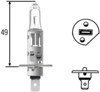 Żarówka halogenowa 8GH002089251 HELLA