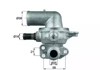 Termostat TX10089D MAHLE